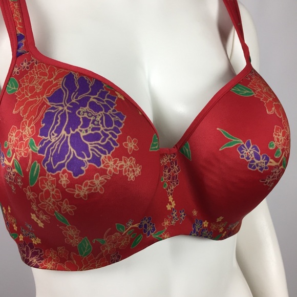 Cacique | 42D | Y - Picture 2 of 8